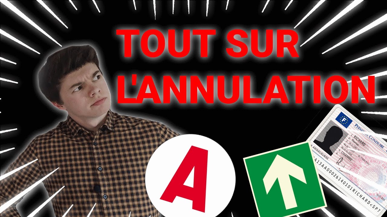 ANNULATION : COMMENT RETROUVER SON PERMIS