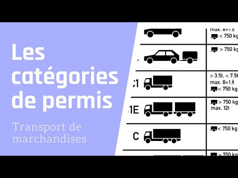 les différentes catégories de permis de conduire dans le domaine du transport de marchandises.