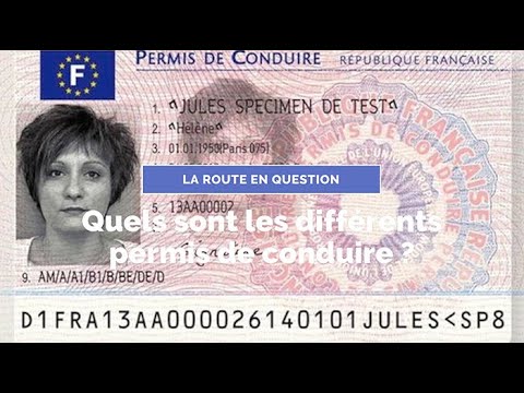 Quels sont les différents permis de conduire ? - La Route en Question